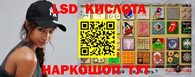 дживик Моздок