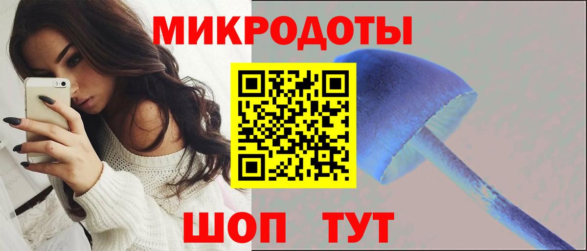 как найти   Псилоцибиновые грибы ЛСД  Вход с VPN  Славгород 